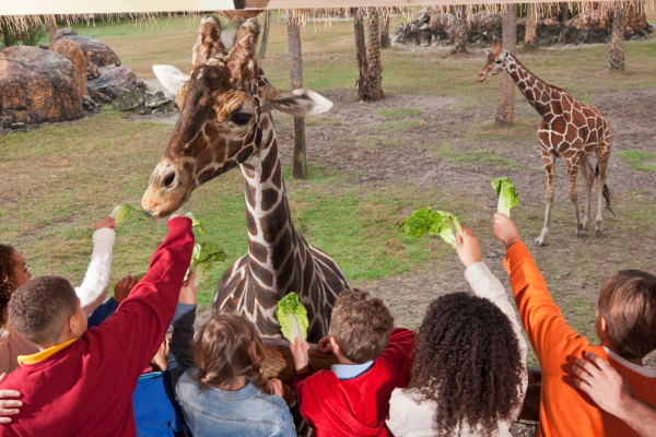 7 Experiential Learning Opportunities to Home School for Life
